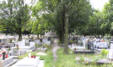   Friedhof von Sosnitza